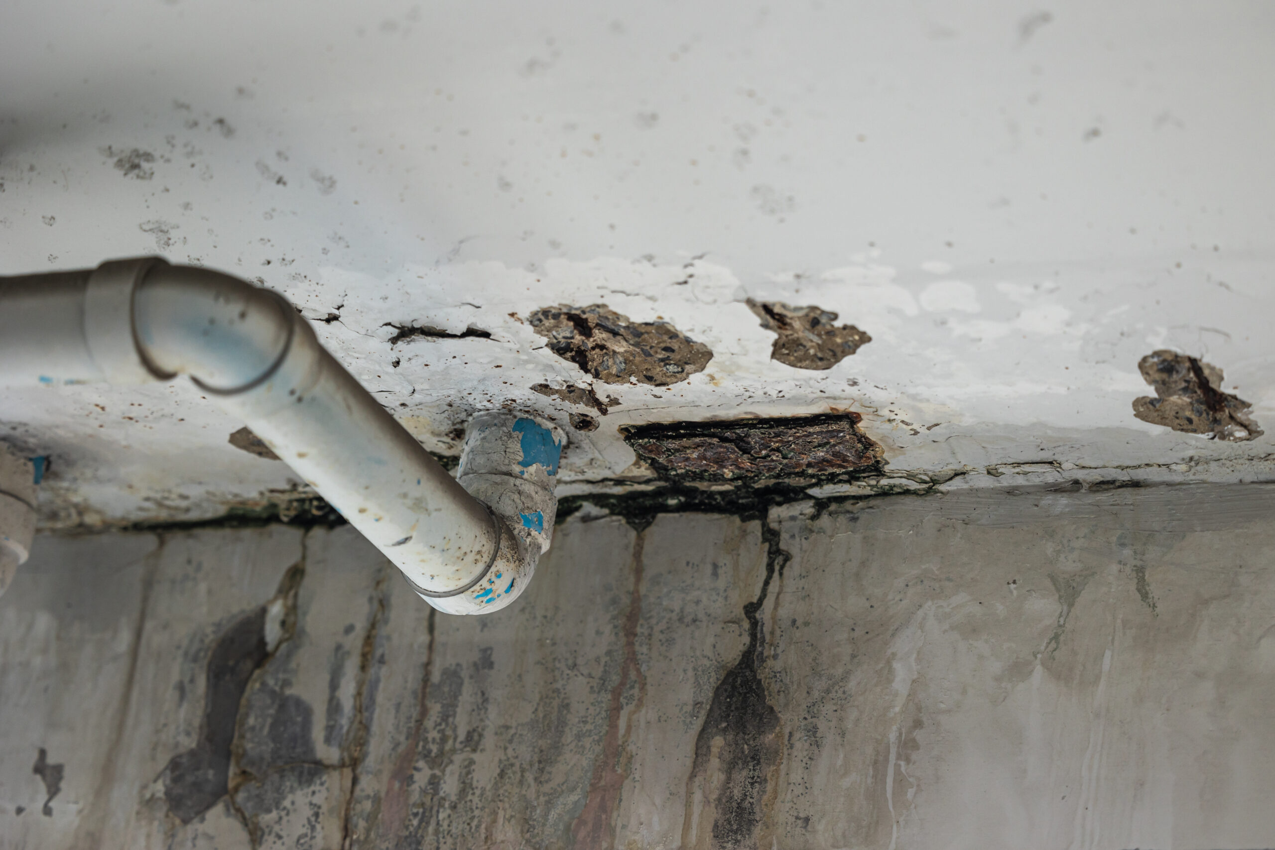 Basement Finishing in Wilmington, DE